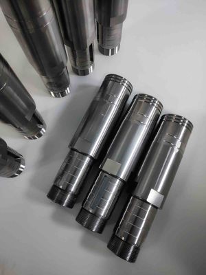 Niestandardowe wkłady pleśni Stavax (S136)